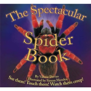 The Spectacular Spider Book (Beautiful Bugs)