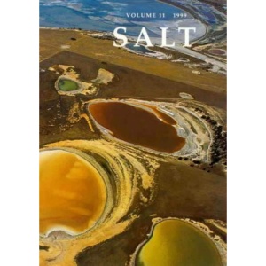 Salt: In the Mix: International Regionalism & Hypermodernism 1: International Regionalism and Hypermodernism Pt. 1 (Salt International Journal of Poetry and Poetics)