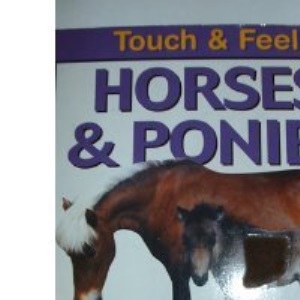 Touch and Feel: Horses and Ponies