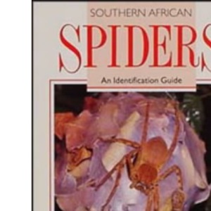 South African Spiders: An Identification Guide
