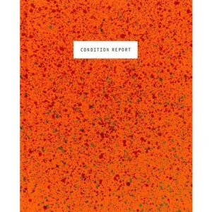 Condition Report: New Photographic Art from the Czech Republic