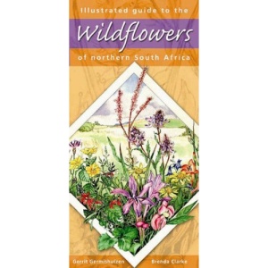 Illustrated Guide to Wildflowers of Northern South Africa