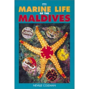 Marine Life of the Maldives (Atoll Editions)