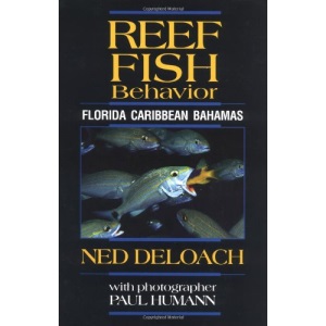 Reef Fish Behavior: Florida, Caribbean, Bahamas