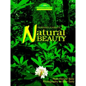 Pennsylvania's Natural Beauty (Pennsylvania's Cultural & Natural Heritage)