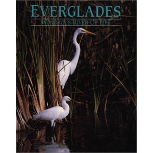 Everglades: Wondrous River of Life