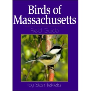 Birds of Massachusetts Field Guide (Field Guides)