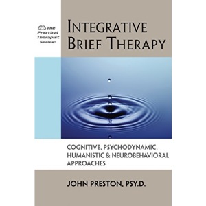 Integrative Brief Therapy: Cognitive, Psychodynamic, Humanistic and Neurobehavioral Approaches (Practical Therapist)