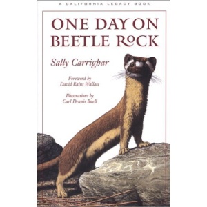 One Day on Beetle Rock (California Legacy Book)