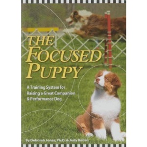 The Focused Puppy