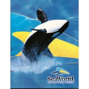 Sea World Adventure Parks