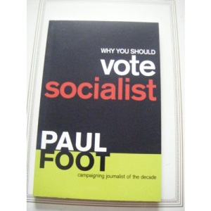 Why You Should Vote Socialist