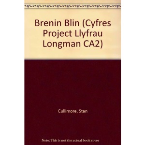 Brenin Blin (Cyfres Project Llyfrau Longman CA2)