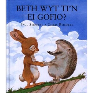 Cyfres Storïau Cwningen a Draenog: Beth Wyt Ti'n ei Gofio? (Cyfres Storiau Cwningen a Draenog)