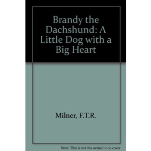 Brandy the Dachshund: A Little Dog with a Big Heart