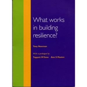 What Works in Building Resilience?
