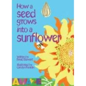 How a Seed Grows into a Sunflower (Amaze)