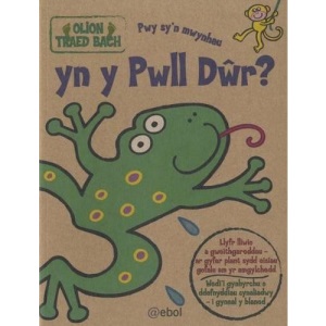 Olion Traed Bach: 3. Pwy Sy'n Mwynhau yn y Pwll Dwr?: Olion Traed Bach No. 3