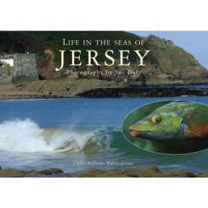 Life in the Seas of Jersey (Little Souvenir Books)