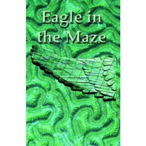 Eagle in the Maze 2008: Rhys Davies Prize Short Story Anthology