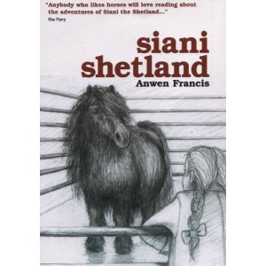 Shani The Shetland Pony