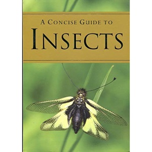 A Concise Guide to Insects