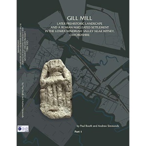 Gill Mill: Later Prehistoric Landscape and a Roman Nucleated Settlement in the Lower Windrush Valley at Gill Mill, near Witney, Oxfordshire: 42 (Thames Valley Landscapes Monograph)