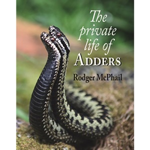 The Private Life of Adders