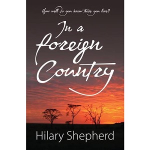 In a Foreign Country (Honno Modern Fiction)