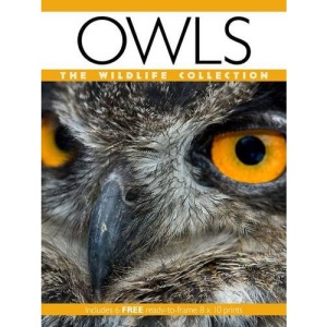 Owls (Wildlife Collection)