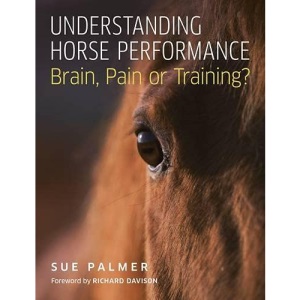 Understanding Horse Performance: Brain, Pain or Training?