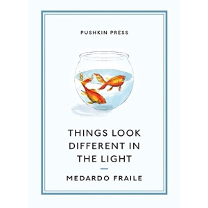Things Look Different in the Light & Other Stories (Pushkin Collection)