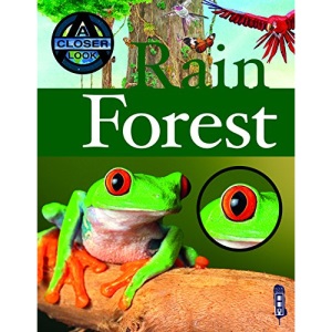 A Closer Look At Rainforest