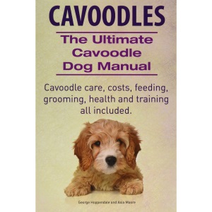 Cavoodles. Ultimate Cavoodle Dog Manual. Cavoodle care, costs, feeding, grooming, health and training all included.
