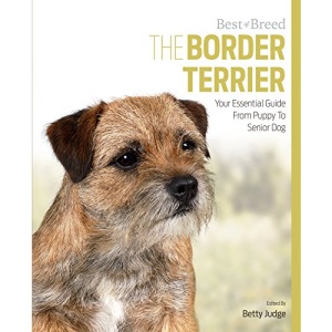 Border Terrier Best of Breed: Your Essential Guide from Puppy to Senior Dog