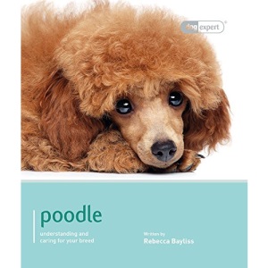 Poodle - Dog Expert
