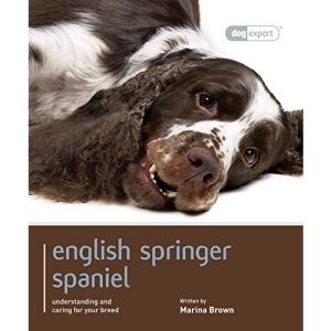 English Springer Spaniel: Dog Expert