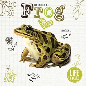 Frog (Life Cycles)