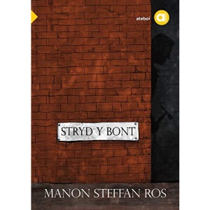 Cyfres Amdani: Stryd y Bont