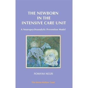 Aesthetic Conflict and its Clinical Relevance: A Neuropsychoanalytic Prevention Model