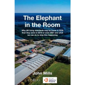 The Elephant in the Room: Why UK living standards may be lower in 2030 than they were in 2019 or even 2007 and what we can do to stop this happening