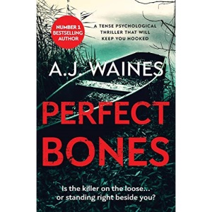 Perfect Bones: a tense psychological thriller that will keep you hooked: 3 (Samantha Willerby Mystery Series)