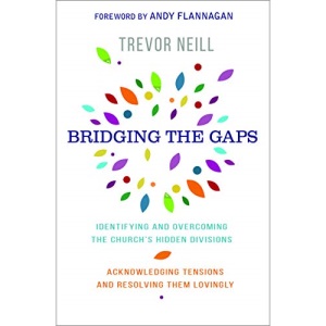 Bridging the Gaps: Identifying and Overcoming the Church's Hidden Divisions: Identifying and overcoming our church's hidden divisions