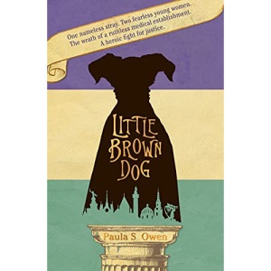 Little Brown Dog