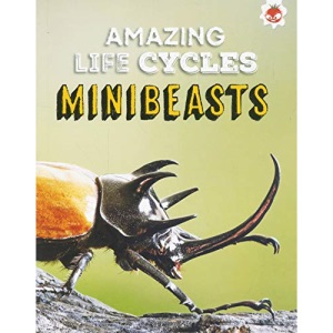 Creepy Crawlies - Amazing Life Cycles