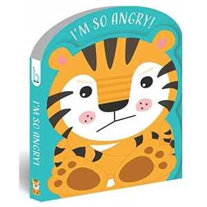 I'm so angry! (Clever Emotions)