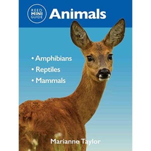 Reed Mini Guide: Animals: Comprehensive Guide To Animals