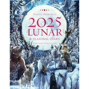 2025 Lunar and Seasonal Diary - Northern Hemisphere: Seasonal planner for 2025 (Planners)