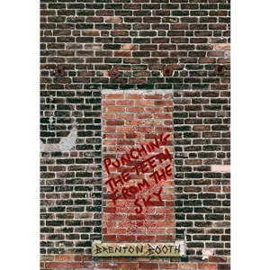 Punching The Teeth From The Sky