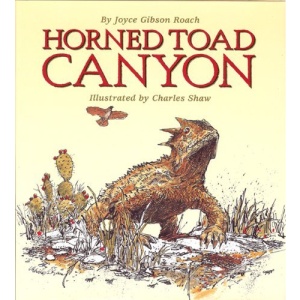 Horned Toad Canyon